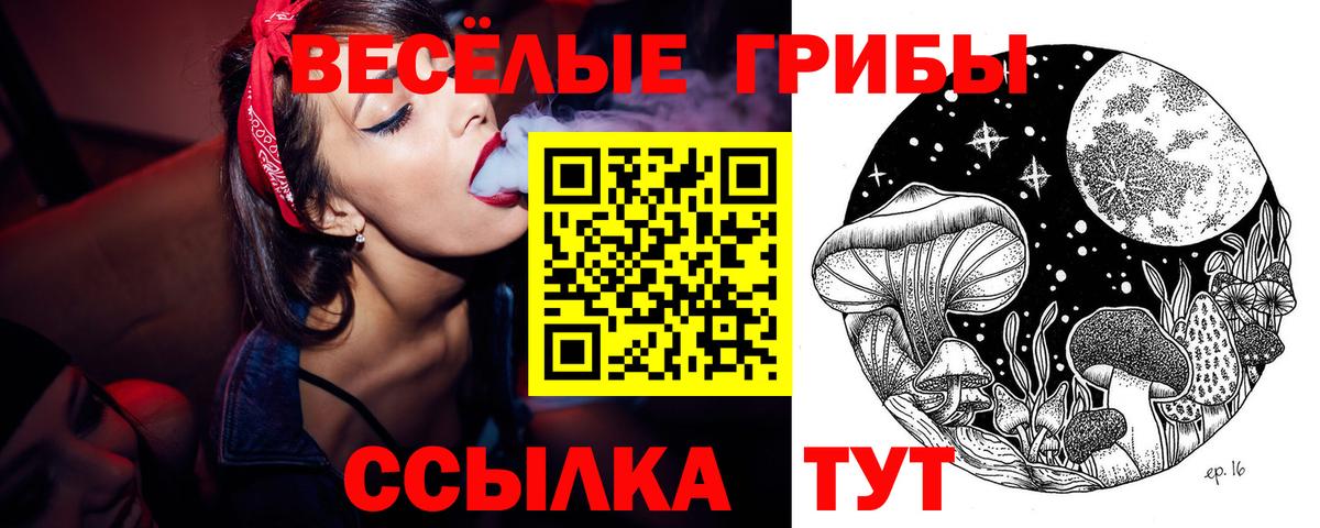 купить наркоту  Вход с VPN  Амурск  Псилоцибиновые грибы Psilocybine cubensis  Псилоцибиновые грибы мухоморы 